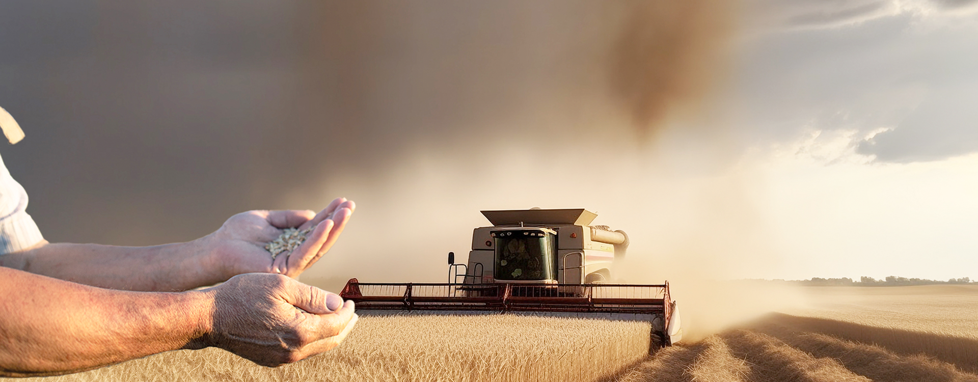 Denizli Borsa Lidaş