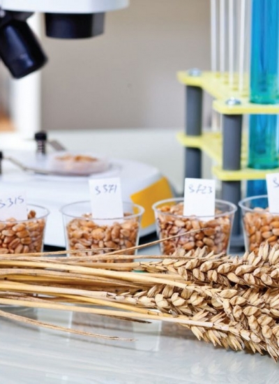 <div class='hbaslik'><h1>Analiz</h1></div>